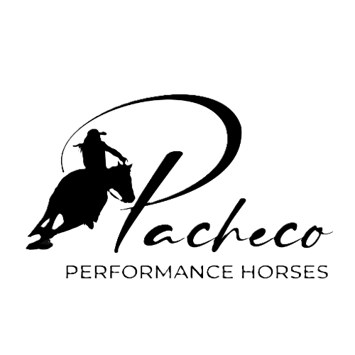 Pacheco Performance Horses
